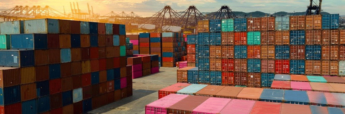 Infinity Herbs Global Shipping and Distribution